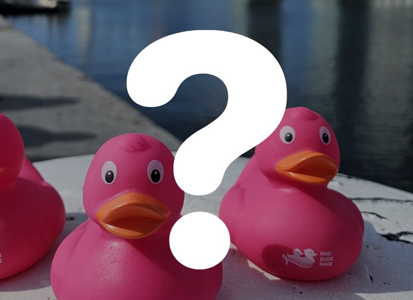 PDR website ° partners (5)